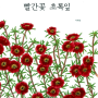 [그림책] 빨간꽃 초록잎 - 탁혜정
