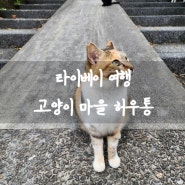타이베이 여행 고양이 마을 허우통(허우통에 갈 땐 ***를 챙겨가자)