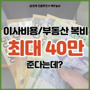 24년 서울시 청년 이사비, 중개보수 지원 최대 40만 원
