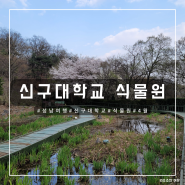 [성남 여행] 신구대학교 식물원(4월4일 봄꽃 현황)