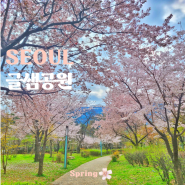 서울 숨겨진 벚꽃 명소 피크닉 하기 좋은 송파 문정동 글샘공원 산책