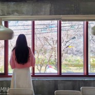 [천안원성동/카페] 동양취미 : 천안원성천벚꽃명소 벚꽃카페🌸