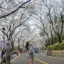 대구이월드 벚꽃축제 예스교복 놀이기구 피자몰 후기