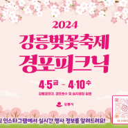 2024 강릉벚꽃축제 경포피크닉