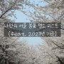 나만의 서울 봄꽃 명소 리스트 (feat. 2023년 기준)