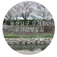 울산 벚꽃 명소 데이트 무거동 무거천 궁거랑 벚꽃길 (2024년 4월 4일 실시간)