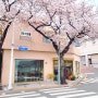 [부산 서구] 벚꽃비 내리는 산복도로의 예쁜 카페, 유씨