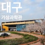 대구 동촌유원지 벚꽃 명소 아이랑 가볼만한곳 대구국립기상과학관