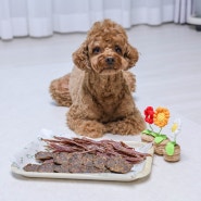 강아지 수제간식 영양 가득 오리야채칩 만들기