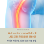 초음파 유도하 Adductor canal block (내전근관 차단술)에 관하여. 해부학 구조, 지배 신경, 약물 사용법은?