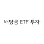 배당금 ETF 투자