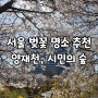 서울 벚꽃 명소로 가볼만한 곳 추천, 양재천과 양재 시민의 숲