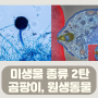 미생물에 대해서 2탄 | 병원성 곰팡이, 원생동물 (feat.무좀, 백선, 말라리아)