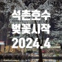 2024 석촌호수 벚꽃... 야경 사람들 대박~