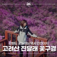 인천 강화도 고려산 진달래 꽃구경 2024 일정 등산코스 주차 정보