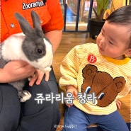 인천 실내동물원 키즈카페, 청라 쥬라리움 16개월 아기랑(ft. 수유실, 할인, 주차)