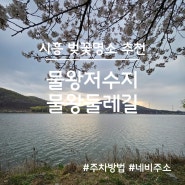 시흥 벚꽃 명소, 물왕저수지 둘레길 벚꽃 실시간(주차장, 네비주소)