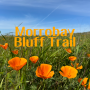 캘리포니아 여행 - 봄꽃 제주도 오름과 오키나와 만자모를 연상시키는 모로베이 블러프 트레일