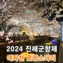 2024 진해군항제 진해 여좌천 로망스다리 벚꽃 축제 만개