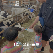 [전북여행] 동물체험 가능한 고창 상하농원/ 광주 근교아기랑 갈만한 곳