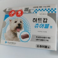 강아지 심장사상충 증상/예방 약복용(하트캅가격)