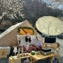 [캠핑] 벚꽃캠핑으로 유명한 무릉도원캠핑장(C17번사이트)
