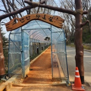 서울 안산 황톳길 맨발걷기 좋은 곳 서대문구 안산 어싱