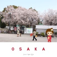 오사카 여행준비 4월 날씨 및 옷차림 벚꽃 개화 시기
