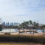안산 호수 공원 날씨 좋은 날 인라인스케이트장