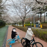 부산 벚꽃 피크닉 자전거 타기 좋은 스포원파크