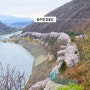 충북 벚꽃명소 충주호 드라이브 가볼만한곳 충주댐 벚꽃길 전망대 실시간