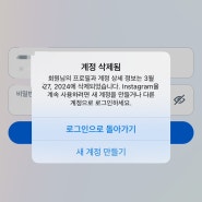 인스타 아이디 삭제 후기 | 해킹 아닌 단순 삭제