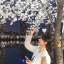 20240403) 석촌호수 벚꽃 실시간 ..S2 만개한 벚꽃길 밤산책