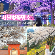 2024 서울 벚꽃 명소 BEST 10 봄꽃 구경 숨은 가볼만한곳 여긴 꼭!