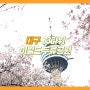 83타워 이월드 두류공원 벚꽃명소 포토존 사진찍기 좋은곳