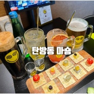 대전 탄방동 분위기 좋은 술집 마숑 살얼음 흑맥주 추천