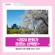 <2024 문화가 흐르는 산책로>, '원성천'으로 벚꽃 보러 가자!