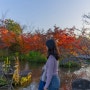 일본 오사카 근교여행④ 나고야 나바나노사토 일루미네이션/사토노우온천