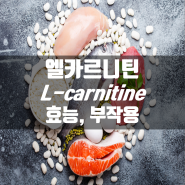 엘카르니틴 L-Carnitine 효능, 부작용, 추천제품