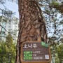 4월 5일은 식목일, 나무심고 기념 수목표찰 달기
