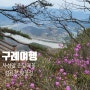 구례 사성암 진달래꽃 / 섬진강 벚꽃