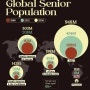 전세계 노인인구 규모