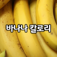 영양가 가득한 과일 바나나 칼로리 및 영양 성분