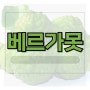 조갑경 베르가못 폴리페놀 내장지방 지중해 식단 다이어트 도움 될까?