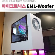 특별한 퍼니처 디자인 컴퓨터케이스 마이크로닉스 EM1-Woofer 우퍼 사용기 리뷰