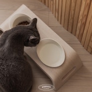 인테리어에도 예쁜 고양이 밥그릇 물그릇 가리모쿠 캣 테이블 (+어바웃펫 추천코드)