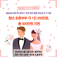 대전시 특 · 광역시 최초 결혼 장려금 지급 계획 안내 / 최고 500만원 지원금 지급