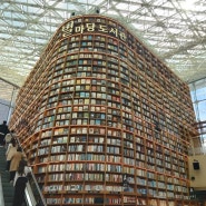 서울 강남 코엑스 가볼 만한 곳 “별마당 도서관”