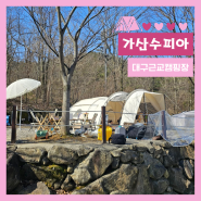 경북 대구근교 키즈캠핑장 가산수피아 캠핑장 c6 벚꽃캠 과연