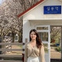 이천 설봉공원 벚꽃명소 | 4월2일 실시간 벚꽃개화상태 | 경기도 가볼만한 곳 봄데이트 코스 추천해요!!